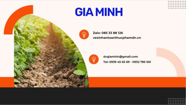 Dịch vụ xin Certificate of Free Sale hạt điều nhân