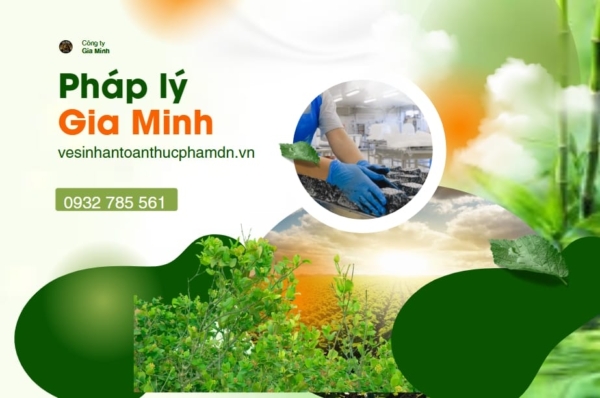 Thao tác nộp hồ sơ xin giấy chứng nhận